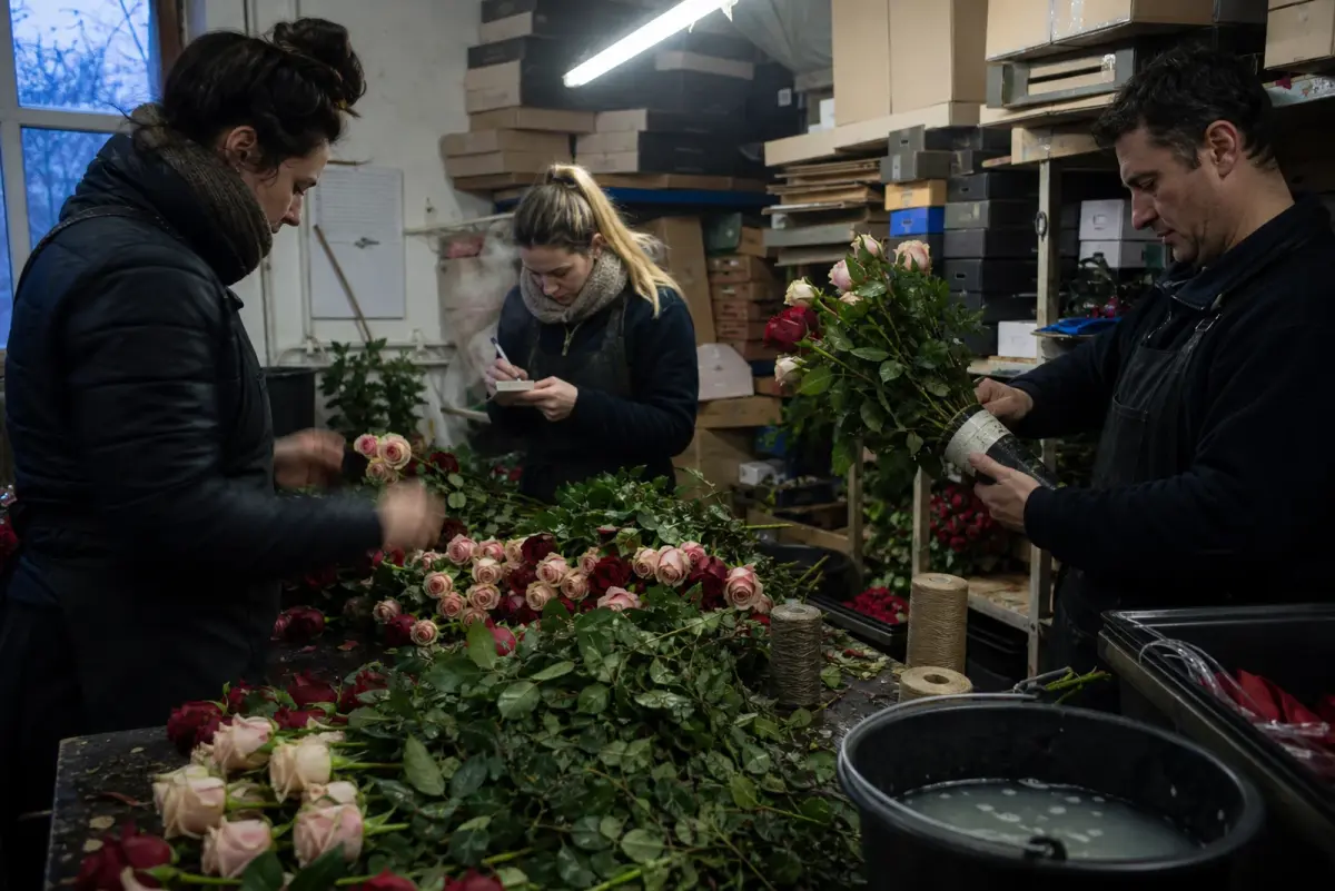 Three pairs of hands work at speed across a crowded bench of red and blush roses in the back room of a small British florist before dawn on Valentine's Day