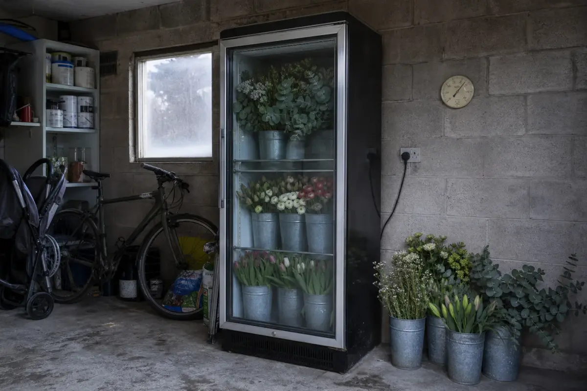 A second hand glass fronted fridge full of cut flowers in a British garage, buckets on the concrete floor beside household clutter